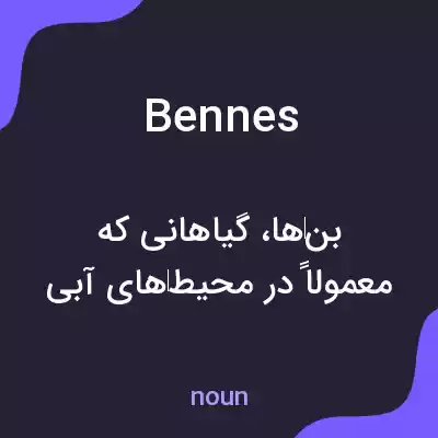 معنی bennes به فارسی معنی bennes به فارسی