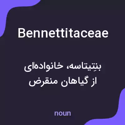 معنی bennettitaceae به فارسی معنی bennettitaceae به فارسی