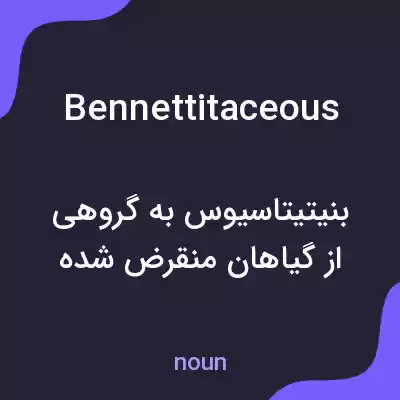معنی bennettitaceous به فارسی معنی bennettitaceous به فارسی