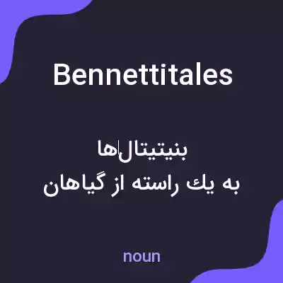 معنی bennettitales به فارسی معنی bennettitales به فارسی