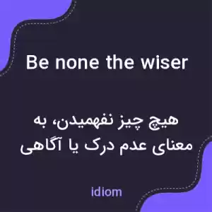 معنی be none the wiser به فارسی معنی be none the wiser به فارسی