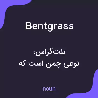 معنی bent grass به فارسی معنی bent grass به فارسی