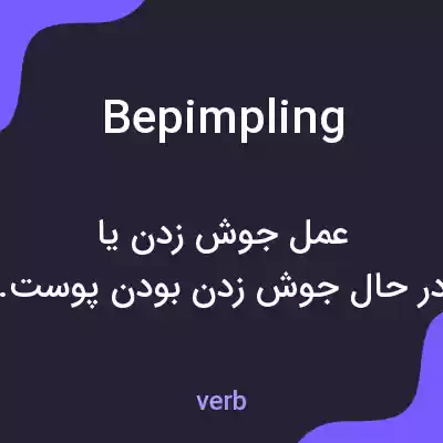 معنی bepimpling به فارسی معنی bepimpling به فارسی