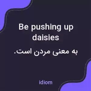 معنی be pushing up daisies به فارسی معنی be pushing up daisies به فارسی