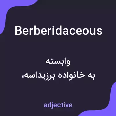 معنی berberidaceous به فارسی معنی berberidaceous به فارسی