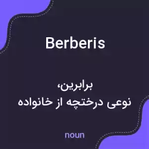 معنی berberis به فارسی معنی berberis به فارسی