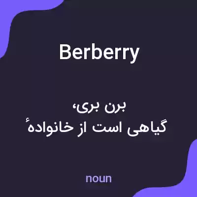 معنی berberry به فارسی