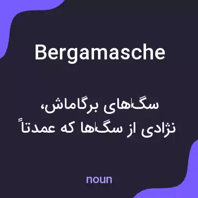 معنی bergamasche به فارسی معنی bergamasche به فارسی