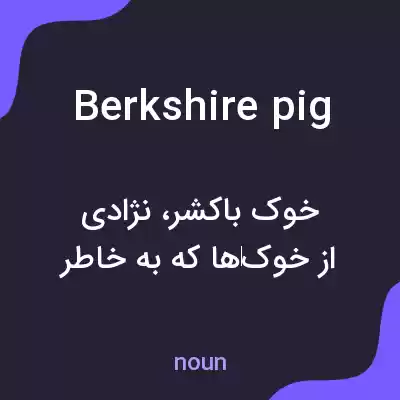 معنی berkshire pig به فارسی