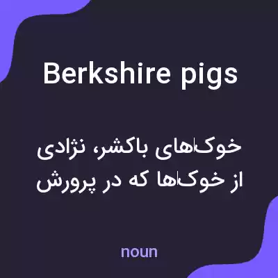 معنی berkshire pigs به فارسی معنی berkshire pigs به فارسی