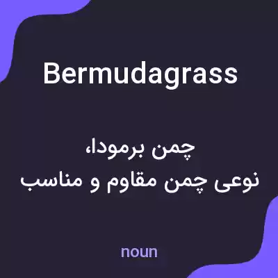 معنی bermudagrass به فارسی معنی bermudagrass به فارسی
