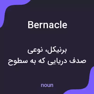 معنی bernacle به فارسی معنی bernacle به فارسی