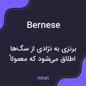 معنی bernese به فارسی معنی bernese به فارسی