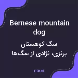 معنی bernese mountain dog به فارسی معنی bernese mountain dog به فارسی