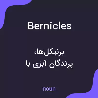 معنی bernicles به فارسی معنی bernicles به فارسی