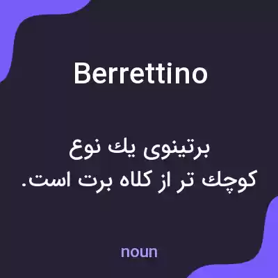 معنی berrettino به فارسی معنی berrettino به فارسی