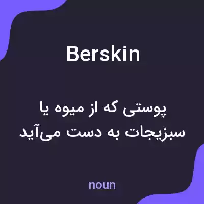 معنی berskin به فارسی معنی berskin به فارسی