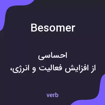 معنی besomer به فارسی
