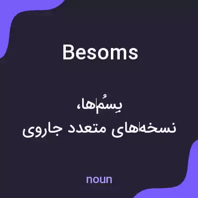 معنی besoms به فارسی معنی besoms به فارسی