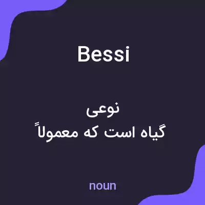 معنی bessi به فارسی معنی bessi به فارسی