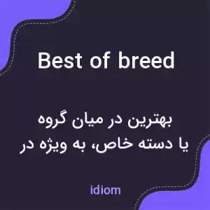 معنی best of breed به فارسی معنی best of breed به فارسی