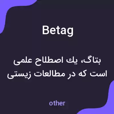 معنی betag به فارسی معنی betag به فارسی