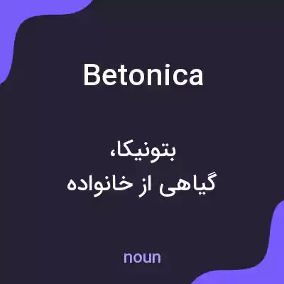 معنی betonica به فارسی