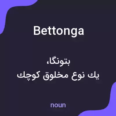 معنی bettonga به فارسی معنی bettonga به فارسی