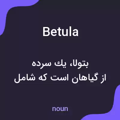 معنی betula به فارسی معنی betula به فارسی