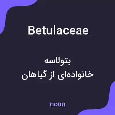 معنی betulaceae به فارسی معنی betulaceae به فارسی