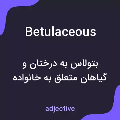 معنی betulaceous به فارسی معنی betulaceous به فارسی