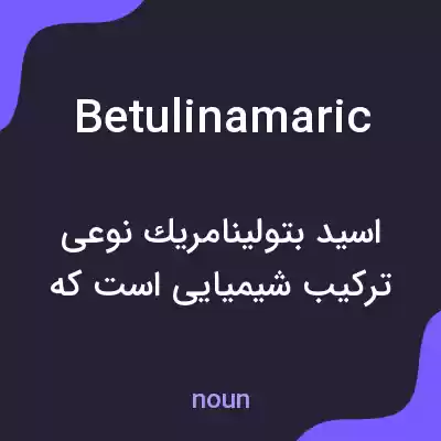 معنی betulinamaric به فارسی