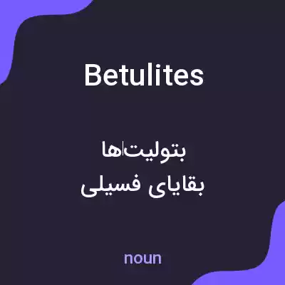 معنی betulites به فارسی معنی betulites به فارسی