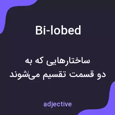 معنی bi-lobed به فارسی معنی bi-lobed به فارسی