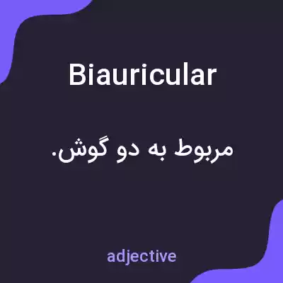 معنی biauricular به فارسی معنی biauricular به فارسی