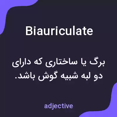 معنی biauriculate به فارسی معنی biauriculate به فارسی