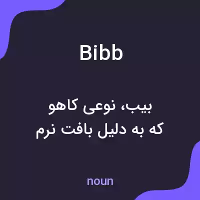 معنی bibb به فارسی