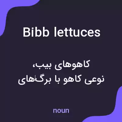 معنی bibb lettuces به فارسی معنی bibb lettuces به فارسی