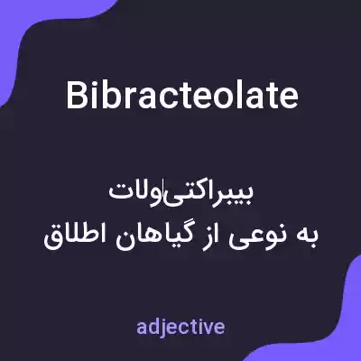 معنی bibracteolate به فارسی معنی bibracteolate به فارسی