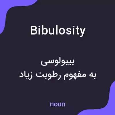 معنی bibulosity به فارسی معنی bibulosity به فارسی
