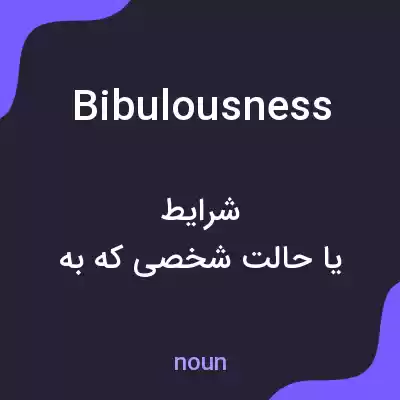 معنی bibulousness به فارسی معنی bibulousness به فارسی
