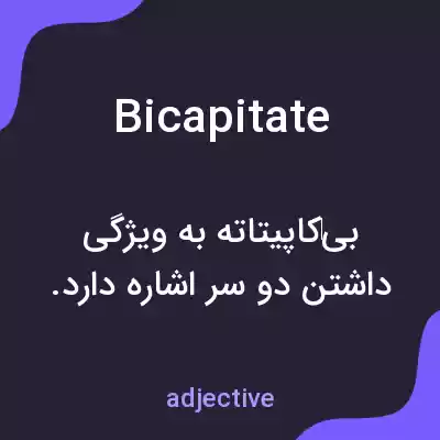 معنی bicapitate به فارسی معنی bicapitate به فارسی