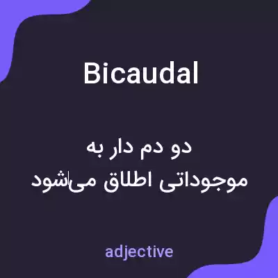 معنی bicaudal به فارسی معنی bicaudal به فارسی