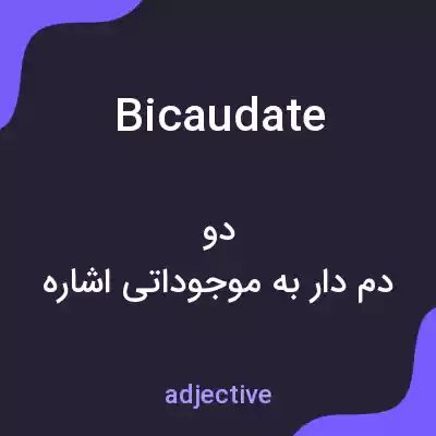 معنی bicaudate به فارسی معنی bicaudate به فارسی