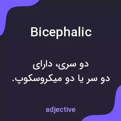 معنی bicephalic به فارسی معنی bicephalic به فارسی