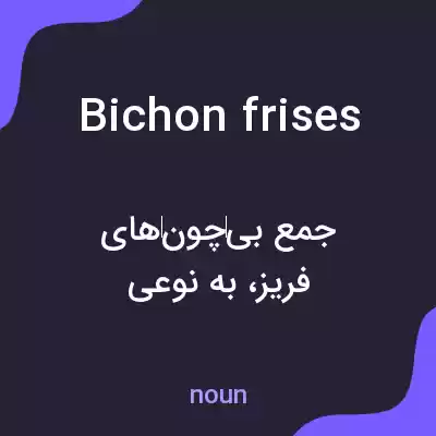معنی bichon frises به فارسی معنی bichon frises به فارسی