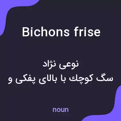 معنی bichons frise به فارسی معنی bichons frise به فارسی