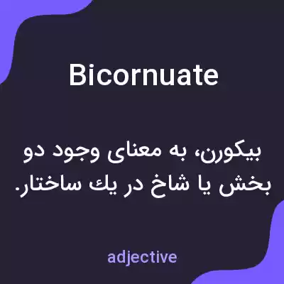 معنی bicornuate به فارسی معنی bicornuate به فارسی