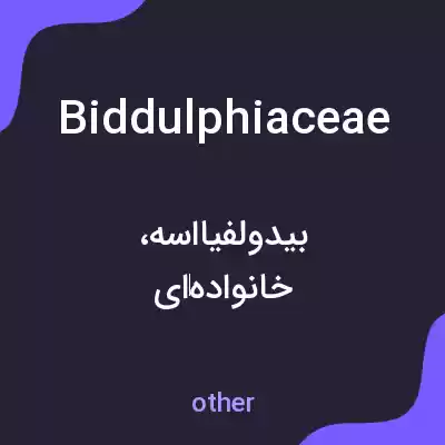 معنی biddulphiaceae به فارسی معنی biddulphiaceae به فارسی
