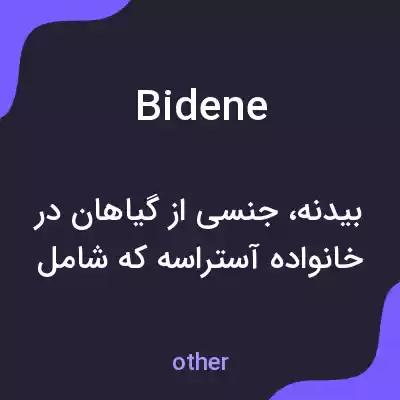 معنی bidene به فارسی معنی bidene به فارسی